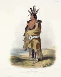 アリクカラの戦士、パクトゥワシュタ、「北アメリカの内陸の旅」のボリューム1のプレート27、タルボットによる彫刻、1843年（アクアチント）